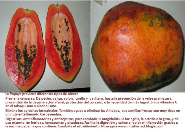 La Papaya previene diferentes tipos de cáncer