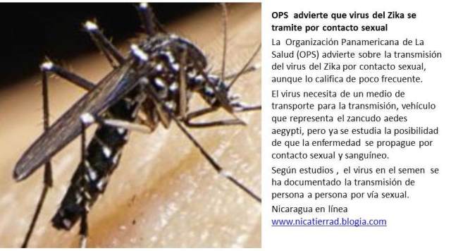 OPS  advierte que virus del Zika se tramite por contacto sexual