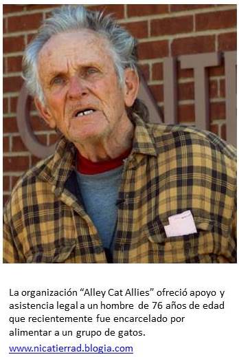 Un hombre de 76 años encarcelado por alimentar a gatos